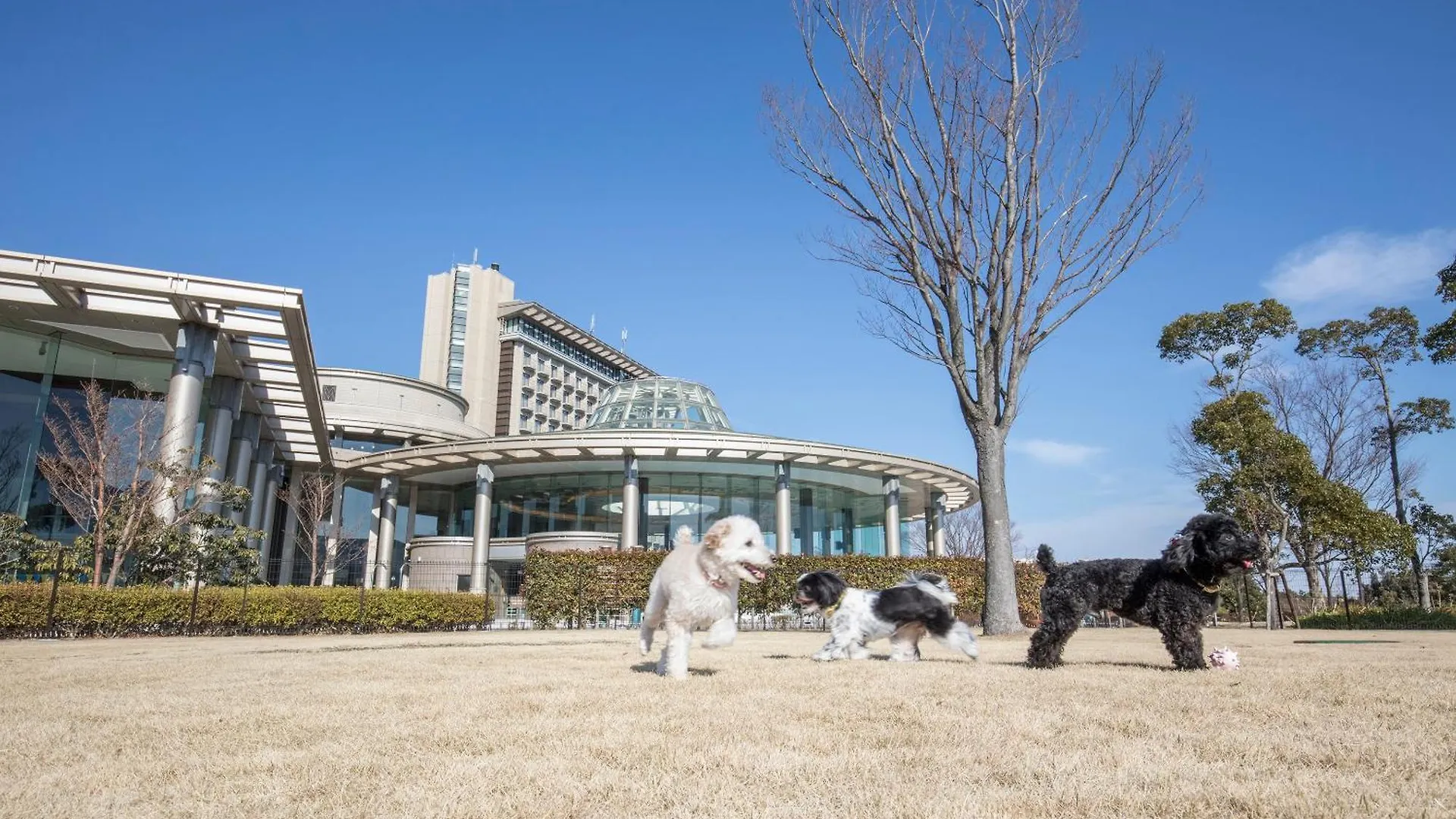 Hilton Odawara Resort & Spa